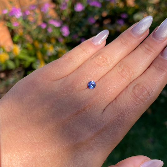 Tanzanita Natural Lapidada – Redonda – 5,5 mm - 0,78 ct