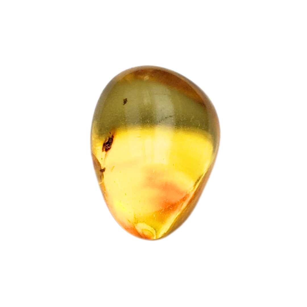 Âmbar do báltico polido 13 x 10 mm / 0,7 g