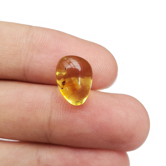 Âmbar do báltico polido 13 x 10 mm / 0,7 g