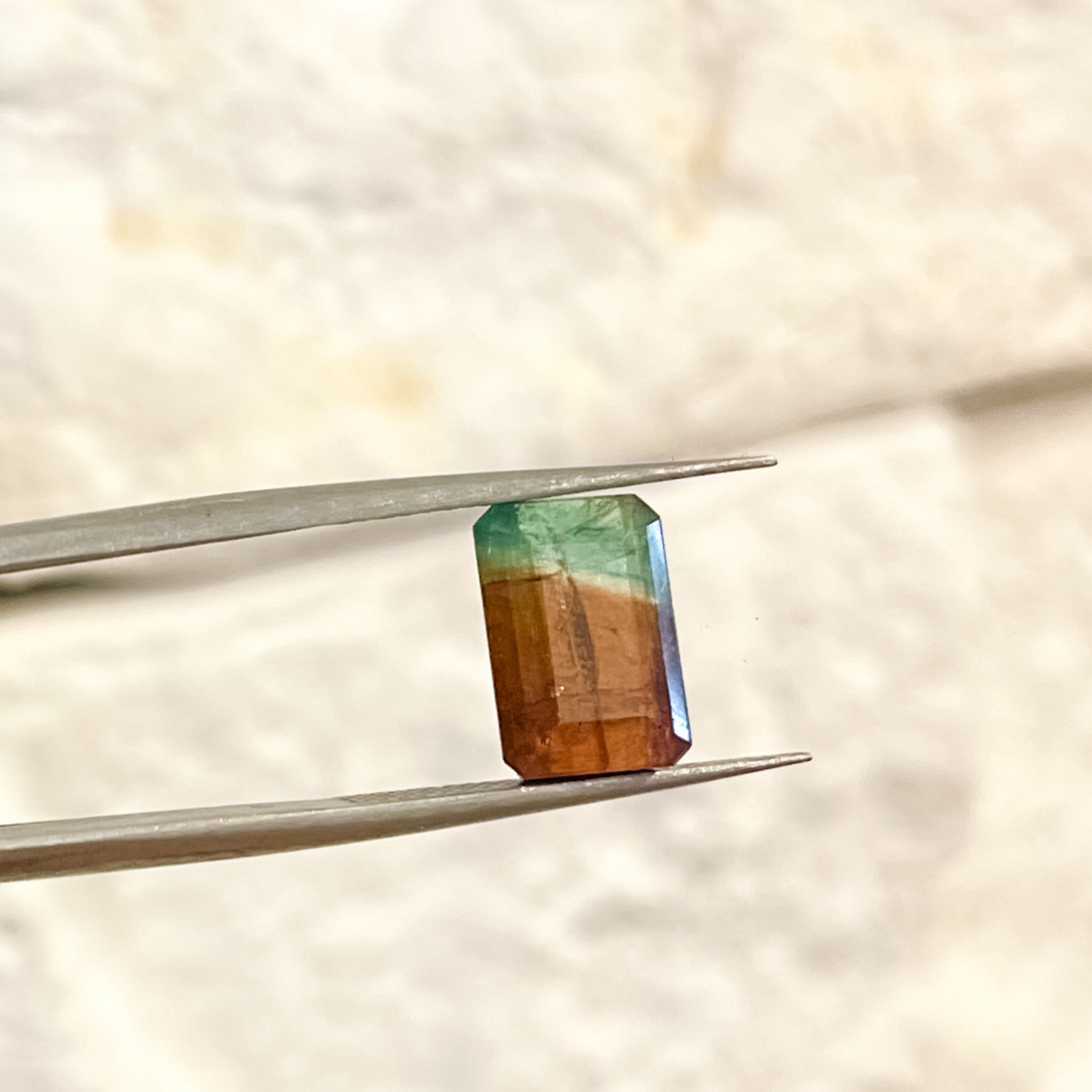 Turmalina Bicolor Natural Lapidada Retangular 11 x 7,4mm