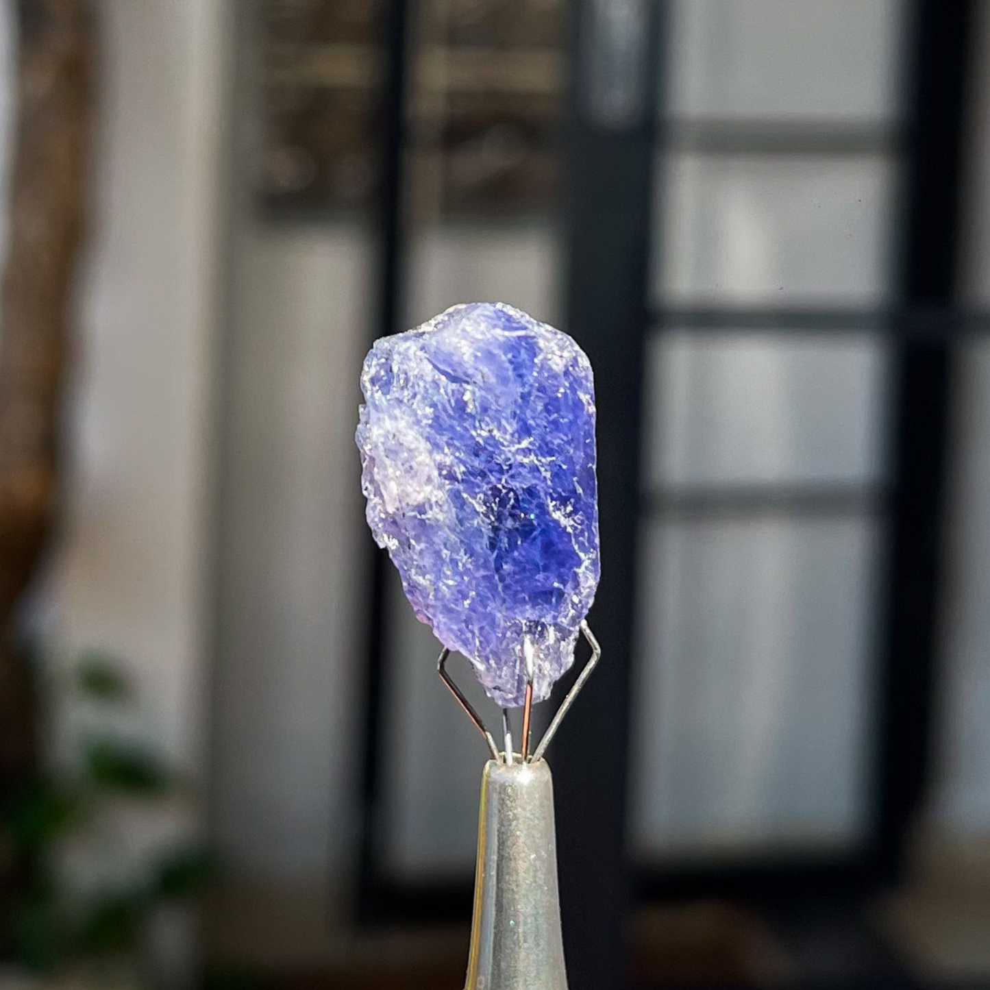 Cristal bruto de Tanzanita 10,5g
