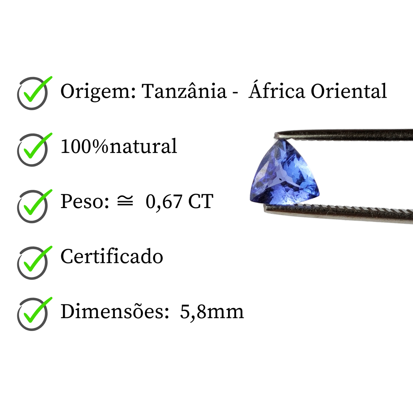 Tanzanita Natural Lapidada – Trillon / 5,8mm e 0,67 ct