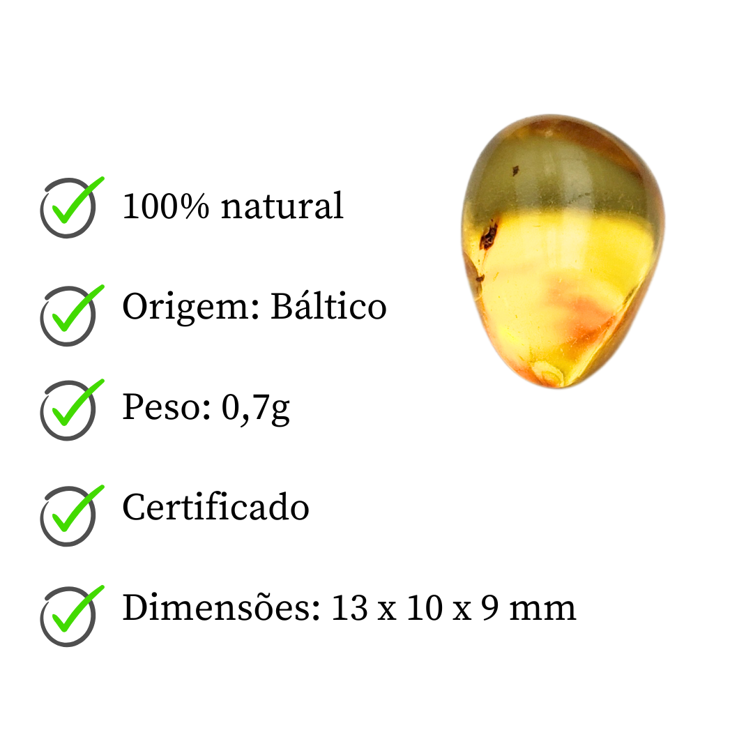Âmbar do báltico polido 13 x 10 mm / 0,7 g