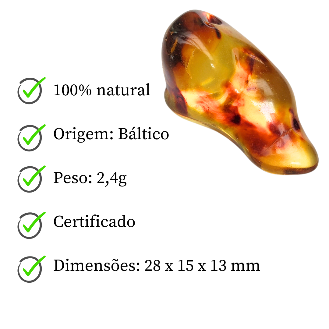 Âmbar do báltico polido 28 x 15 mm / 2,4 g