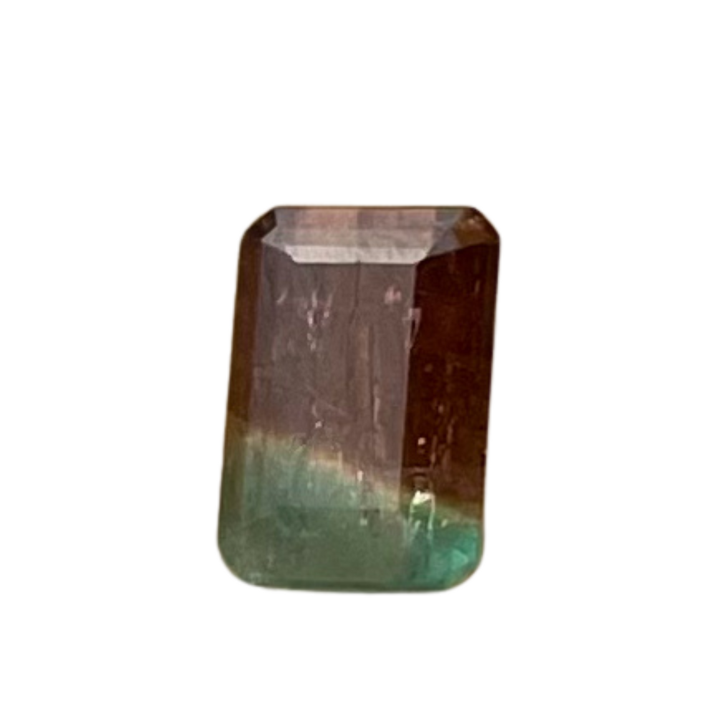 Turmalina Bicolor Natural Lapidada Retangular 11 x 7,4mm