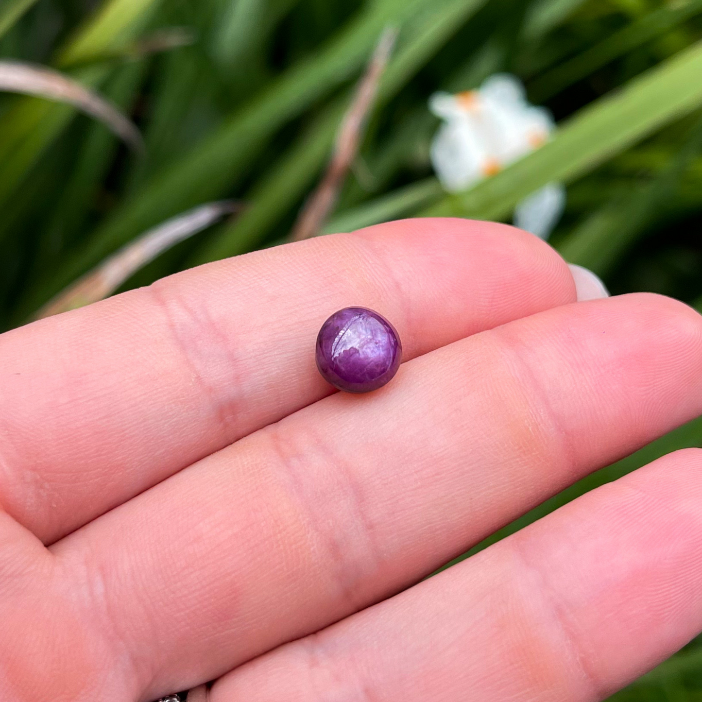 Rubi Natural com asterismo Lapidado em cabochão 4,9 ct