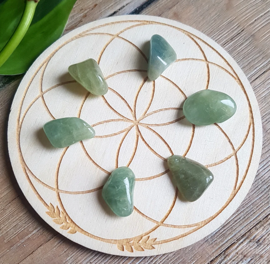 Berilo natural rolado / 1 unidade