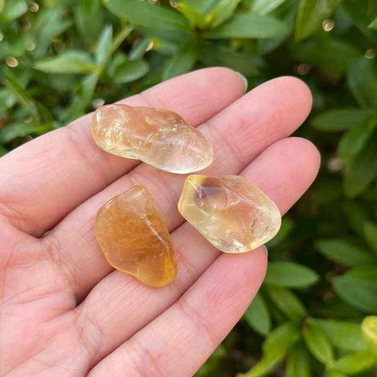 Citrino natural rolado / 1 unidade