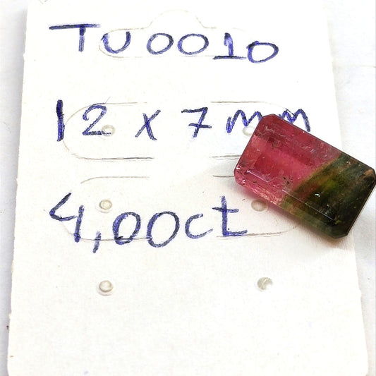 Turmalina bicolor (melancia) 12x7 mm (4,00 ct)