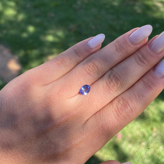 Tanzanita Natural Lapidada – Oval   – 8,2 x 6 mm - 1,33 ct