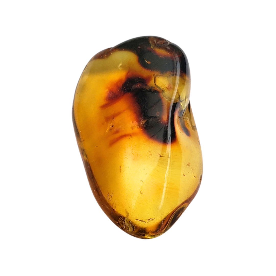 Âmbar do báltico polido 26 x 16 mm / 2,3 g