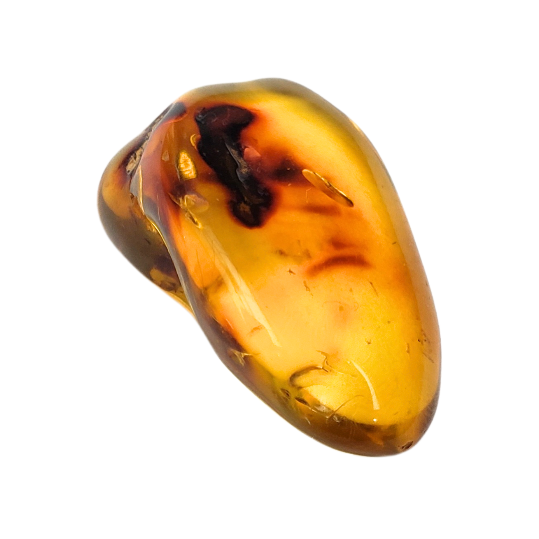 Âmbar do báltico polido 26 x 16 mm / 2,3 g