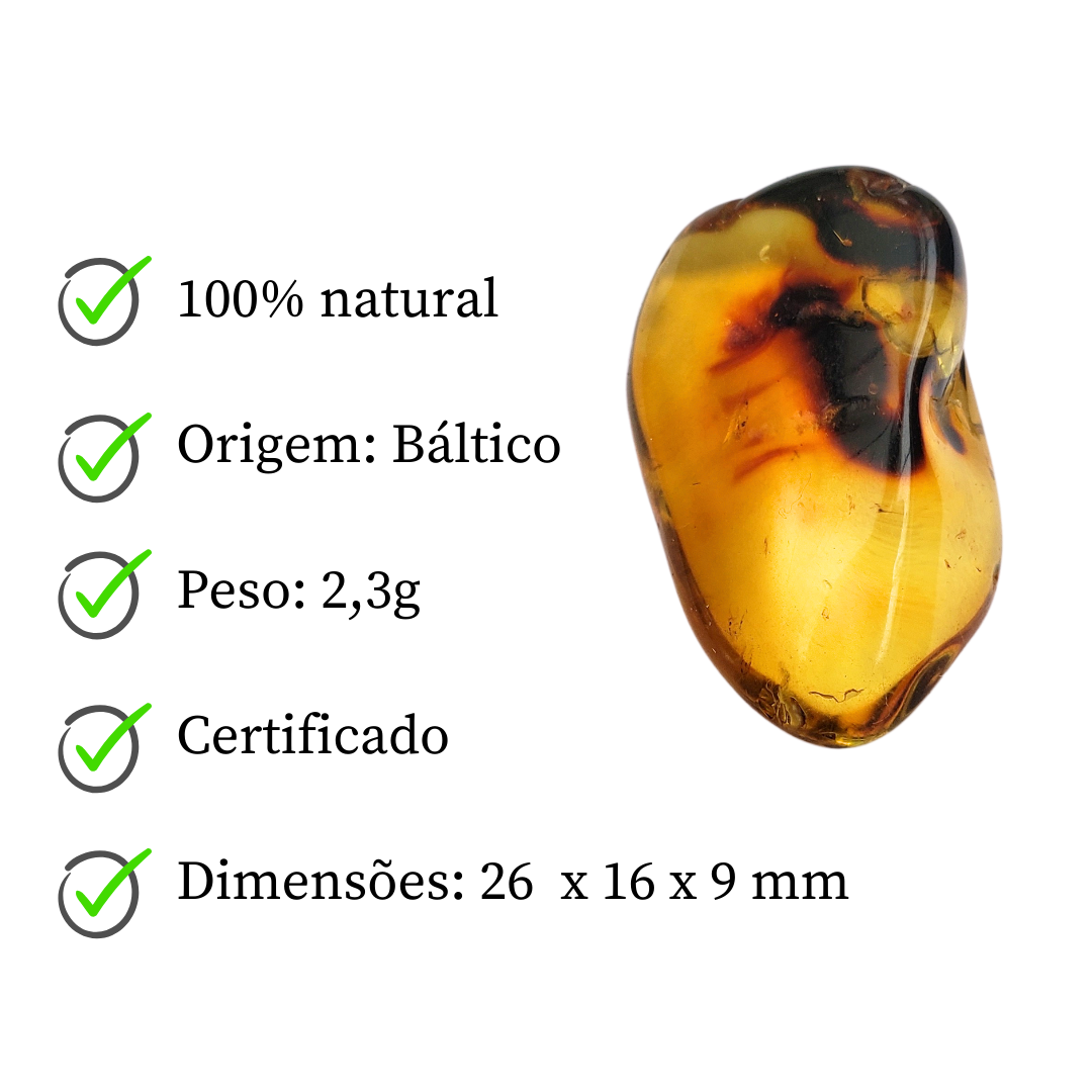 Âmbar do báltico polido 26 x 16 mm / 2,3 g