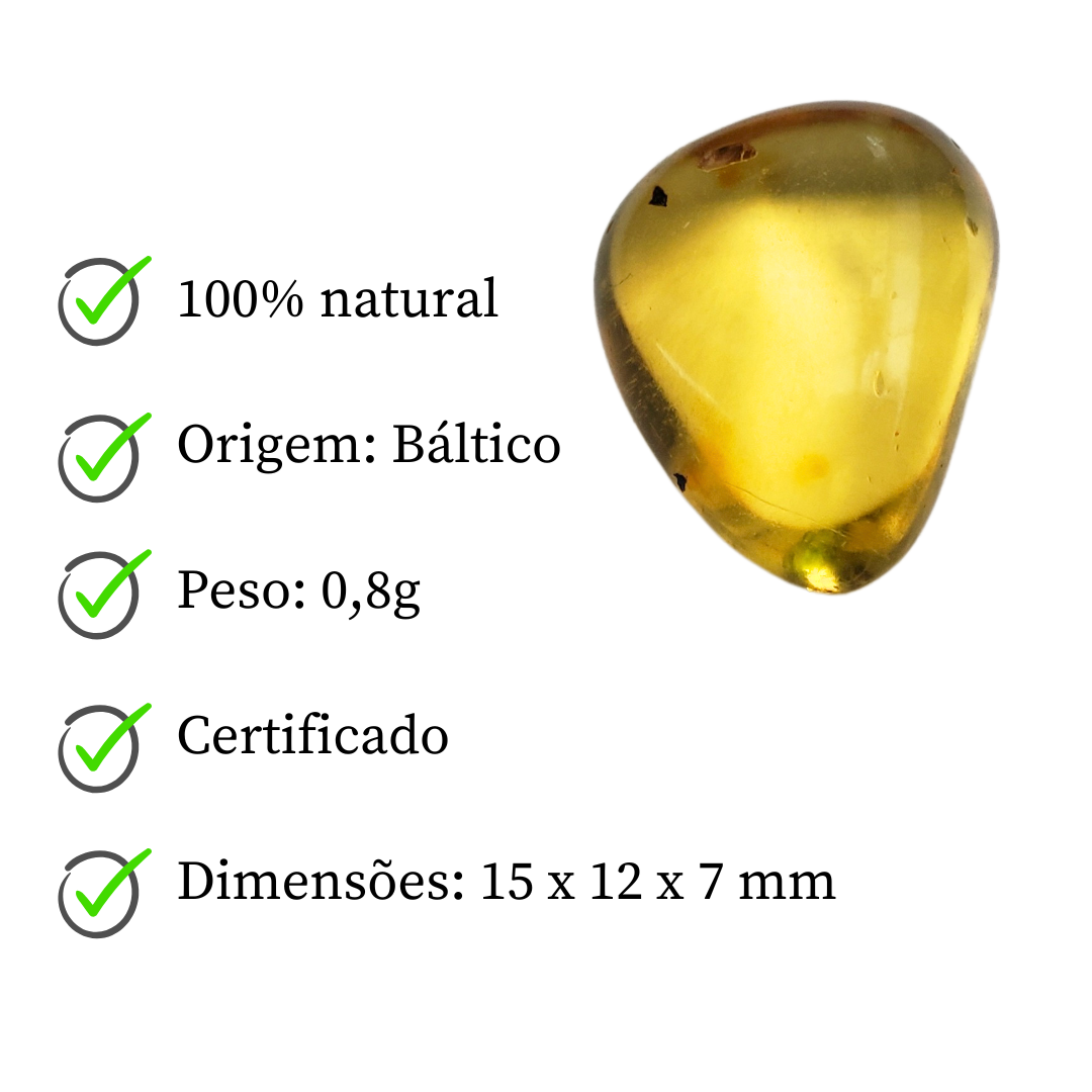 Âmbar do báltico polido 15 x 12 mm / 0,8 g