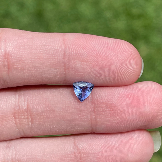 Tanzanita Natural Lapidada – Trillon / 5,8mm e 0,67 ct