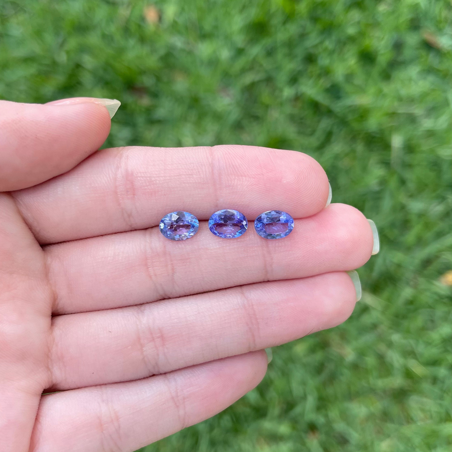 Tanzanita Natural Lapidada – Oval / Entre 8x6 mm ≅ 0,95 e 1,18 ct