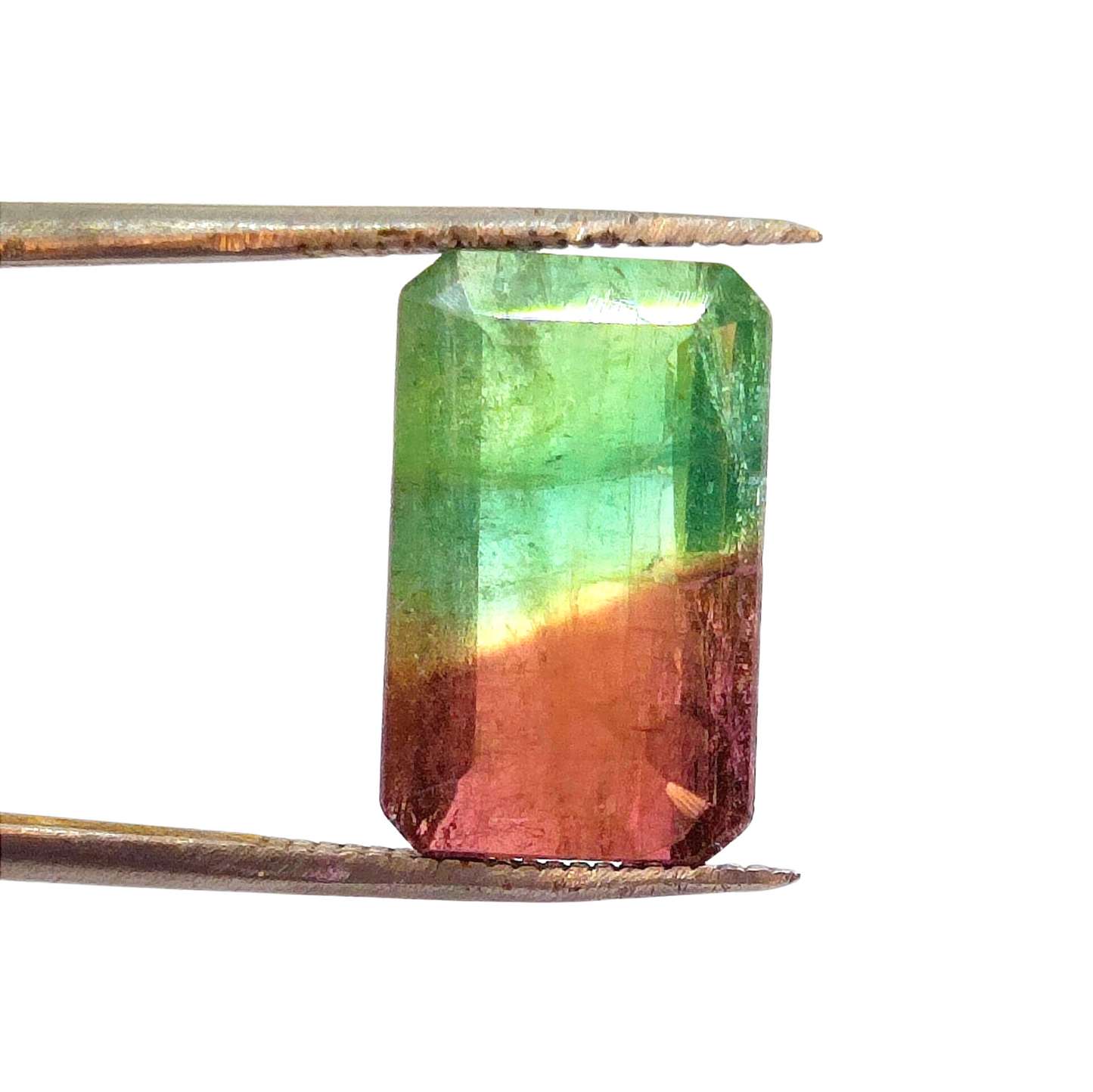 Turmalina bicolor (melancia) 14x8 mm (5,78ct)