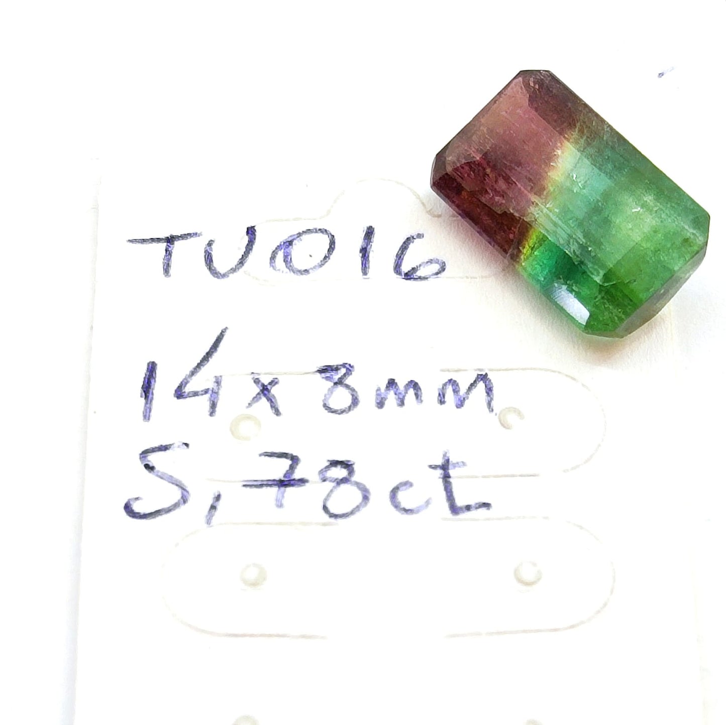 Turmalina bicolor (melancia) 14x8 mm (5,78ct)