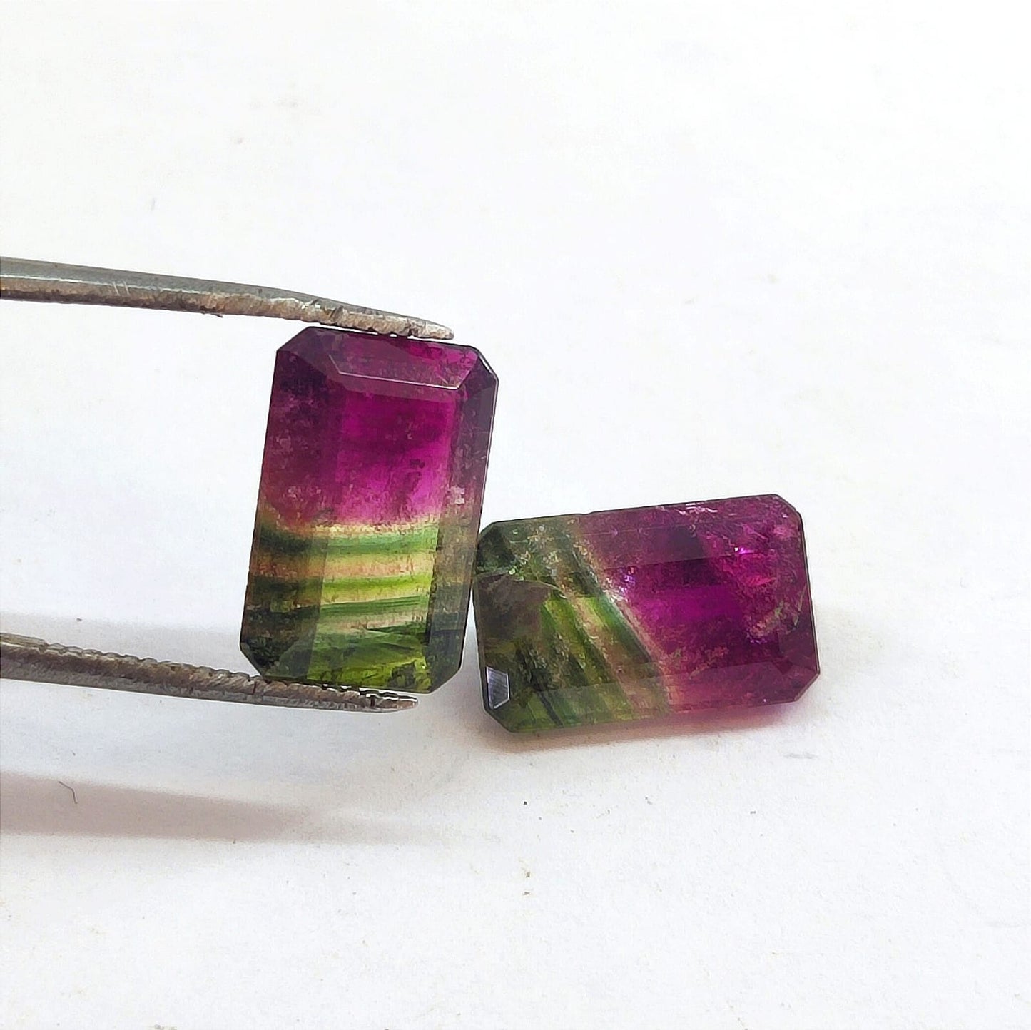 Par de turmalina bicolor (melancia) 11x7 mm (7,31 ct)